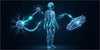La bioelectricidad en el cuerpo humano: cómo funciona el lenguaje eléctrico de las células
