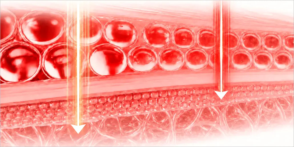 ¿Cómo interactúan la luz roja y la luz infrarroja con los tejidos del organismo?