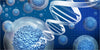 Medicina regenerativa: cómo el organismo repara y regenera sus propios tejidos