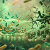 Disbiosis intestinal: qué es y cómo afecta al organismo