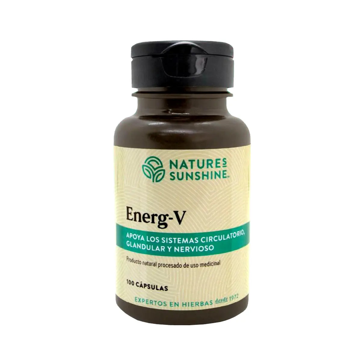 energ-v natures sunshine