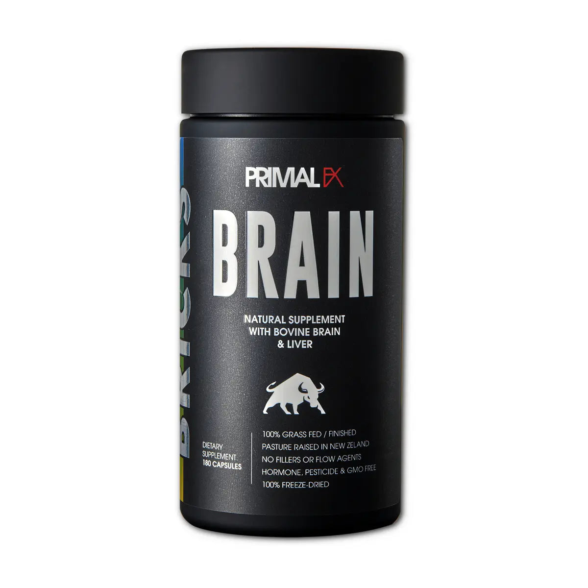 bricks brain en ecuador