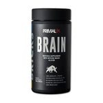 bricks brain en ecuador