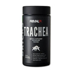 bricks trachea en ecuador