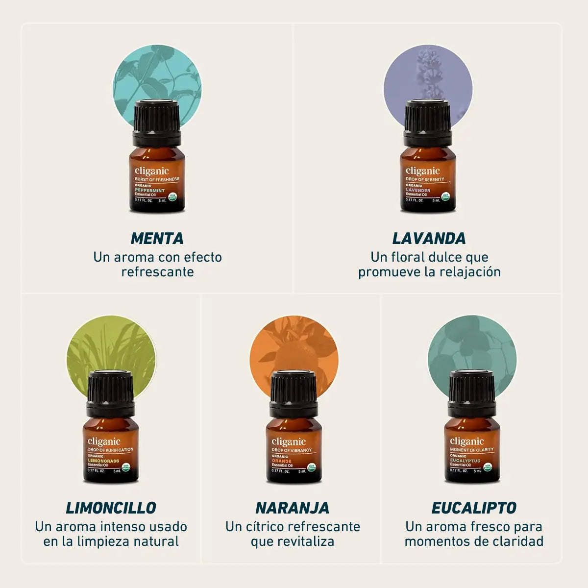 set con aceites esenciales de menta lavanda limoncillo naranja y eucalipto