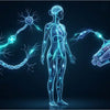 La bioelectricidad en el cuerpo humano: cómo funciona el lenguaje eléctrico de las células