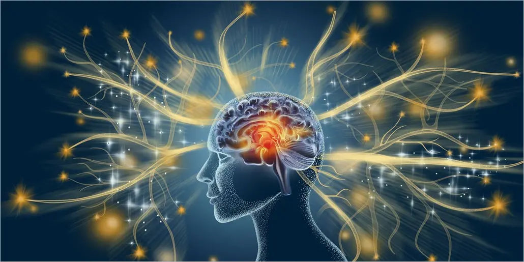 Frecuencia 7.83 Hz: la bioelectricidad y su papel en el funcionamiento del organismo