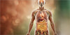 ¿Qué es la Microbiota Intestinal y por qué influye en todo el organismo?