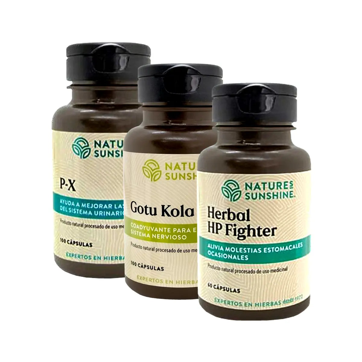 kit salud prostatica natures sunshine